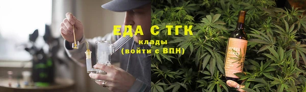 хмурый Магас