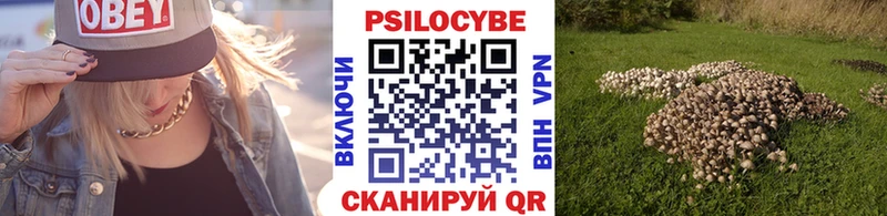 наркошоп  Нововоронеж  Галлюциногенные грибы прущие грибы 